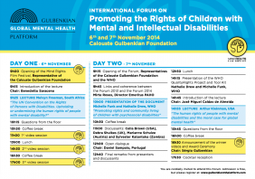 International Forum on Promoting the Rights of Children with Mental and Intellectual Disabilities